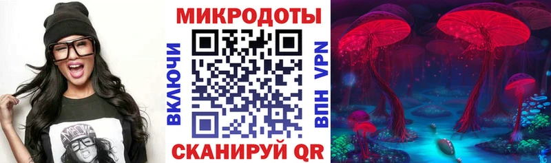 Галлюциногенные грибы MAGIC MUSHROOMS  купить наркотики цена  Надым 